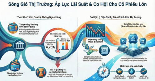 Cổ phiếu vốn hóa lớn gặp sóng gió: thị trường điều chỉnh hay cơ hội lộ diện?