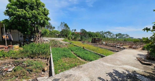 Giảm 70% thuế chuyển đổi đất vườn lên đất ở: Đúng nhưng chưa đủ