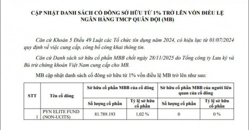 Pyn Elite Fund trở lại trong danh sách cổ đông nắm trên 1% vốn tại MB