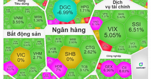 "Hồi sinh từ tro tàn”, VN-Index ngược dòng "bão lửa" toàn cầu, bật tăng hơn 33 điểm