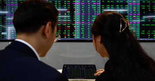 Lòng tham vẫn chiến thắng nỗi sợ hãi