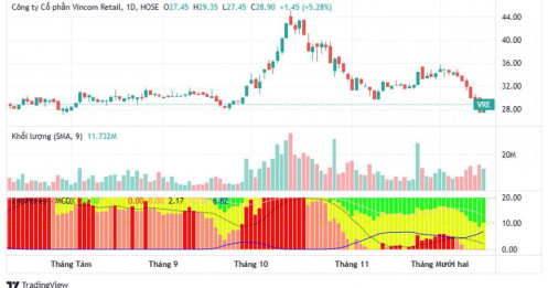 Bắt đáy cổ phiếu Vingroup sau nhịp rơi 20%: Dòng tiền lớn kỳ vọng “lãi đột biến” quý IV/2025