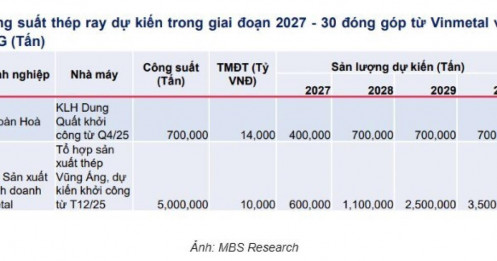 Ai sẽ cung cấp thép ray cho các dự án đường sắt 100 tỷ USD? Hòa Phát và Vingroup nổi lên