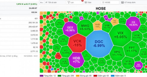 VN-Index 17/12/2025: Mẫu hình Low Cheat Entry xuất hiện tại TCX - Chờ đợi VPX và VCK