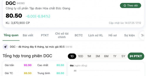 Hai phiên giảm sàn, hơn nghìn tỷ sang tay: DGC đang phát tín hiệu cảnh báo gì?