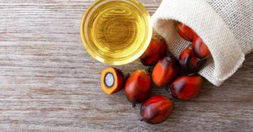 Giá dầu cọ biến động hẹp: Dầu đậu nành Chicago mạnh đối trọng với xuất khẩu trì trệ