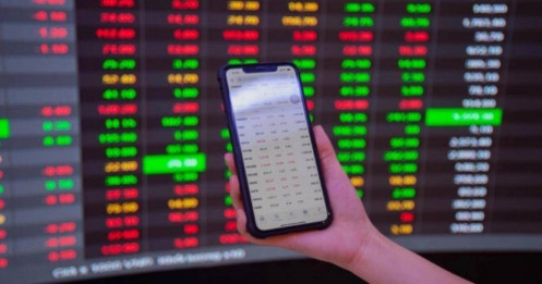 Dòng tiền nội “cân” thị trường trong năm 2025