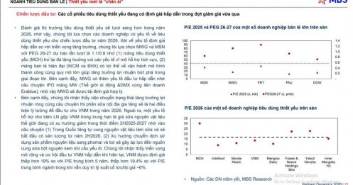 Cổ phiếu tiêu dùng thiết yếu trở thành “chân ái” đầu tư trong năm 2026?