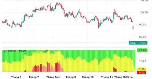 Từng giúp nhân viên “đổi đời”, cổ phiếu DGC lao dốc: Điều gì đang xảy ra với DGC?