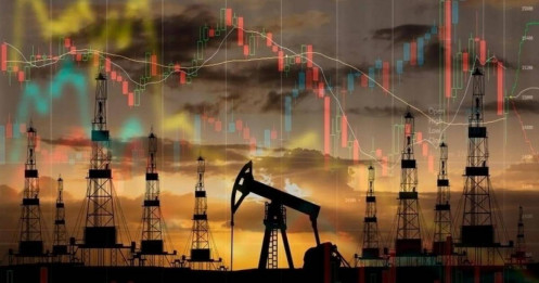 Giá xăng dầu hôm nay 19/12/2025: Giá xăng dầu trong nước giảm mạnh