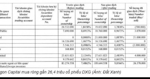Thoái vốn khỏi DGC, Dragon Capital đang xoay trục danh mục sang đâu?
