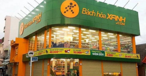 Bách Hóa Xanh “chạy nước rút”: Mở 3 cửa hàng mỗi ngày – cuộc tấn công miền bắc đã thực sự bắt đầu?