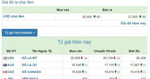 Giá USD chợ đen lên 27.000 đồng