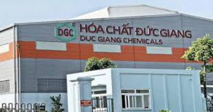 DGC giảm 25%: Khi tin lãnh đạo bị bắt biến thành cơ hội vàng