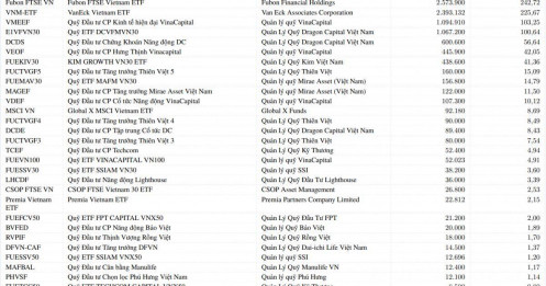 Ai đang “chịu trận” cùng DGC? Bức tranh sở hữu của các quỹ đầu tư