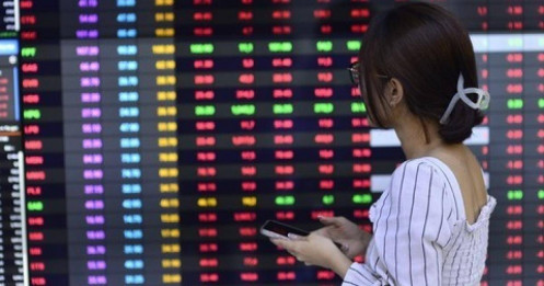 Nhà đầu tư nên làm gì khi bị "kẹp hàng" cổ phiếu liên tục giảm sàn?