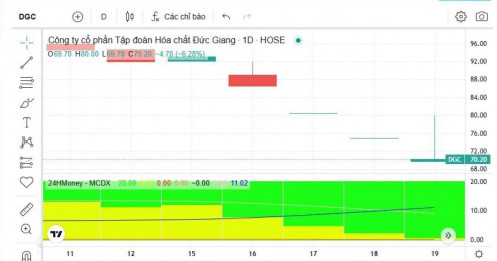 Vì sao cổ phiếu DGC lao dốc mạnh?