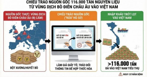 Chiêu tráo nguồn gốc 116.000 tấn nguyên liệu từ vùng dịch bò điên châu Âu