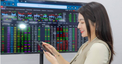 Loạt “gam màu” nổi bật trên TTCK 2025