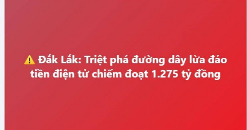 Triệt phá đường dây lừa đảo tiền điện tử chiếm đoạt 1.275 tỷ đồng