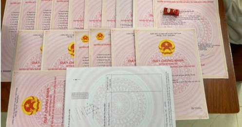 Đường dây lừa đầu tư tiền ảo, chiếm đoạt 1.300 tỷ đồng bị bắt