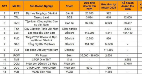 KQKD 2025 của nhóm dầu khí “họ P” dần rõ nét: Ai đang dẫn đầu?