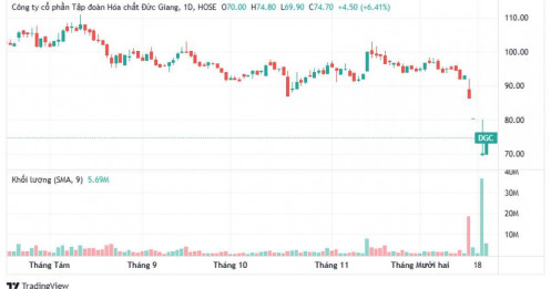 Cú lao dốc lịch sử của DGC: Vốn hóa "bay màu" nghìn tỷ, công ty vẫn im lặng