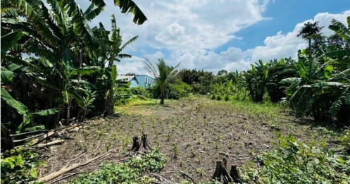 Sẽ tăng giá đất nông nghiệp?