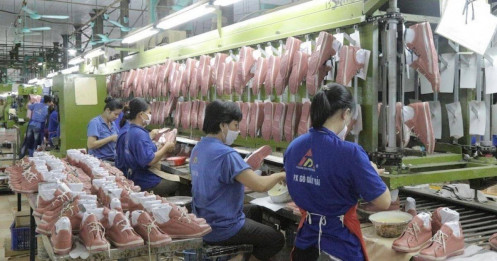 2025 - Cuộc đua thoái vốn bùng nổ