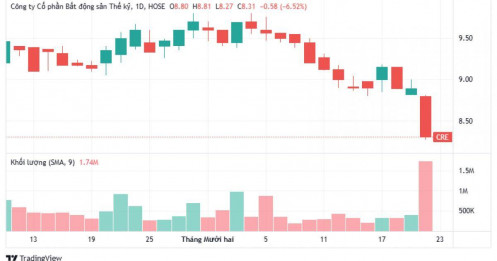 Từ mạng xã hội đến thị trường chứng khoán: CRE lao dốc vì điều gì?