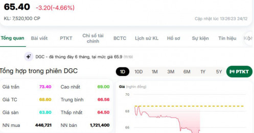 Cổ phiếu DGC lao dốc 29%: Bắt đáy hay cắt lỗ ngay?