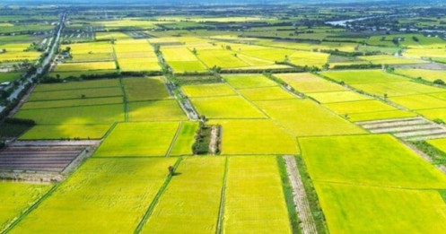 Giá đất nông nghiệp chỉ vài trăm nghìn đồng/m², có nên tăng lên bằng 40% giá đất ở?