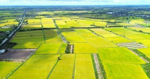 Giá đất nông nghiệp vài trăm nghìn đồng/m², quá thấp so với đất ở: Có nên tăng?