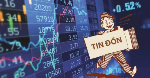 Cổ phiếu ‘điêu đứng’ vì tin đồn: Nhà đầu tư mất hàng trăm tỷ đồng trong vài giờ