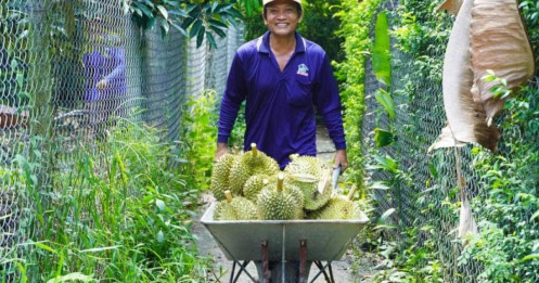 Cà phê và sầu riêng bứt tốc, xuất khẩu nông sản tiến sát mốc kỷ lục