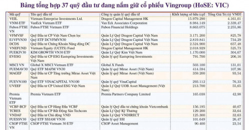 Ai đang kiểm soát gần 50 triệu cổ phiếu Vingroup trên sàn?