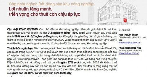 Điểm nóng KQKD nhóm bất động sản KCN quý 4: KBC được dự báo lãi tăng 880%, nhiều doanh nghiệp lao dốc