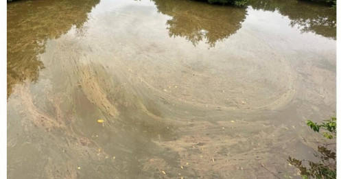 Dầu diesel rò rỉ tại Dung Quất