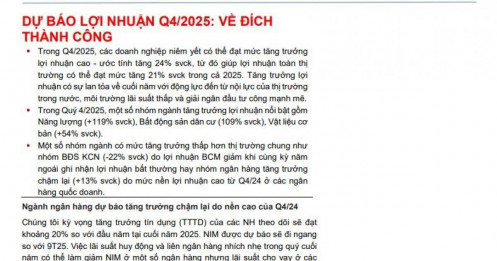 Dự báo KQKD 4 của 62 doanh nghiệp với nhiều cái tên hot VIC, VHM, HPG, DGC, TCB... Top 1 tăng trưởng gần 17.000%