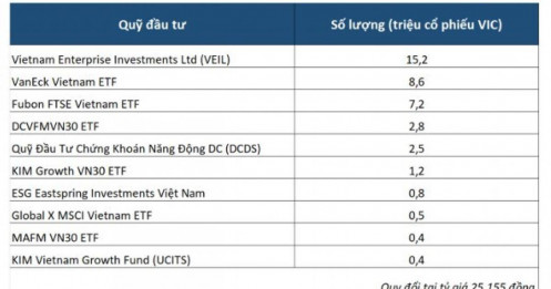 Quỹ nào đang “ôm” lượng lớn cổ phiếu VIC?