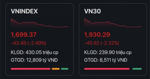 Áp lực bán quá lớn, VN-Index thủng mốc 1700
