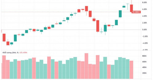 Từ lỗ 3.000 tỷ đến tăng gấp đôi: Pomina được Vingroup ‘cứu sống’?