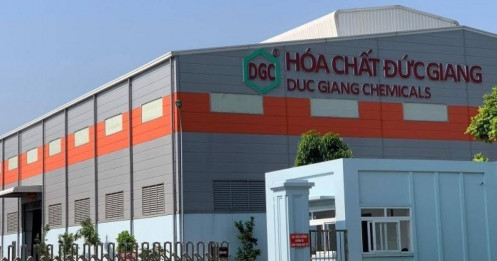 DGC rơi sâu, dòng tiền lớn "ngửi" thấy cơ hội?