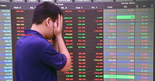 VN-Index bay cao, tiền của nhà đầu tư vẫn mất hút – Thị trường 2025 bất ngờ