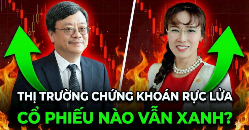 VN-Index giảm 40 điểm, cổ đông của tỷ phú Nguyễn Đăng Quang và Nguyễn Thị Phương Thảo vẫn "tin và yêu màu tím"