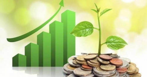 Lịch chốt quyền cổ tức tuần 29/12– 2/1: Cổ tức tiền mặt cao nhất 30%