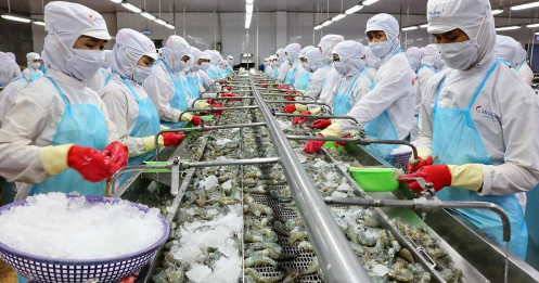 MPC lấy lại “phong độ”