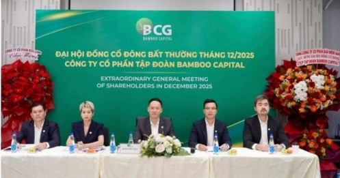 Bamboo Capital lên tiếng về cổ phiếu BCG bị đình chỉ giao dịch