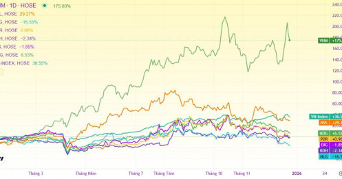 Vì sao cổ phiếu BĐS lớn năm 2025 vẫn thua VN-Index?