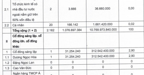 VietBank tăng vốn lên gần 11.000 tỷ đồng, “lộ” tỷ lệ nắm giữ của gia đình Chủ tịch